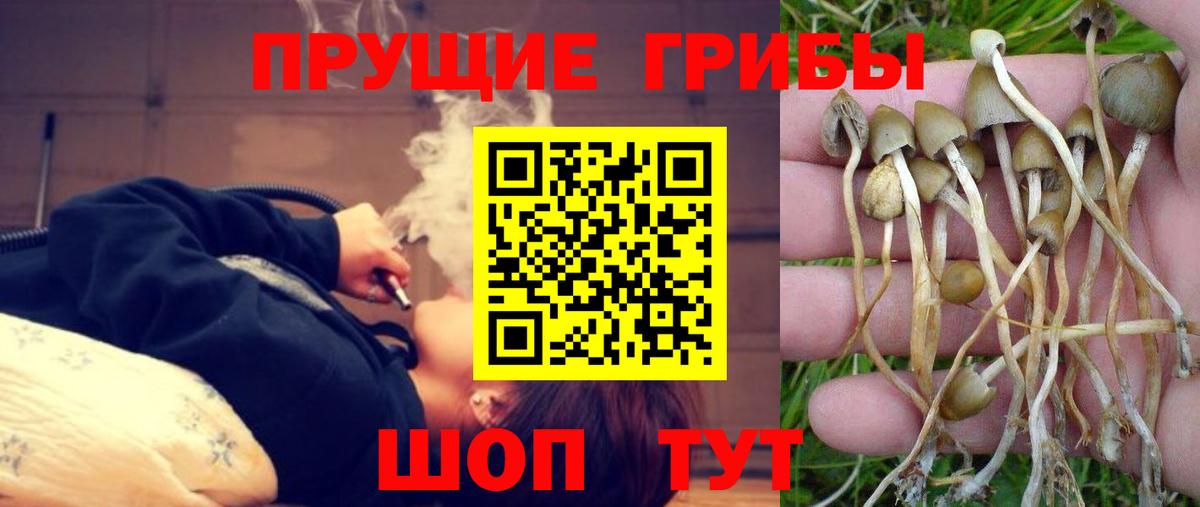 Зеленокумск  купить  сайты  Вход с VPN  Галлюциногенные грибы ЛСД 